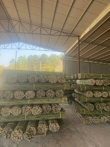 Bâtons de bambou très demandés, matériau supérieur pour clôtures et production artisanale, durables, lisses, faciles à travailler - Product Image 6