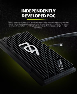 नई आगमन 79 बाइक फाल्कन जीटी इलेक्ट्रिक गंदगी बाइक 16.8kw शक्तिशाली मोटर 610n.m टॉर्क - Product Image 4