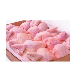 ผู้จัดจำหน่ายไก่แช่แข็งฮาลาลทั้งตัวแบบขายส่งจำนวนมาก |   ไก่แช่แข็งทั้งตัวและเป็นชิ้นส่วน จัดส่งรวดเร็ว - Product Image 5