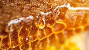 Miel pur premium, naturel, biologique, miel doré pour la vente au détail, l'alimentation et les boissons - Product Image 4