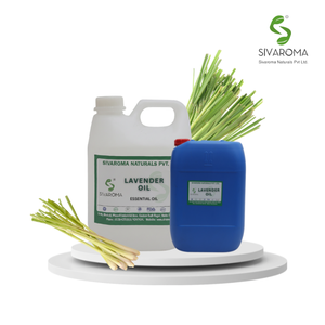 Suministro a Granel de Aceite de Limoncillo para Cosméticos y Aromaterapia |   Sivaroma Naturals, Fabricante de Aceites Esenciales a Granel en India, Proveedor de Aceites Esenciales en India - Product Image 2