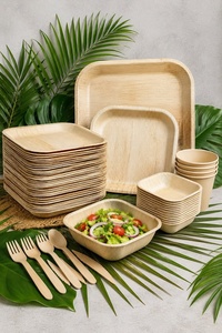 Nouvelles assiettes carrées durables en feuilles de palmier d'arec de 6 pouces, pour desserts et collations, sans plastique, pour hôtels et restaurants, 2026 - Product Image 1