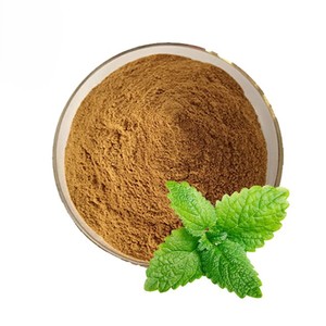 Extracto de Hoja de Menta 100% Natural de Marca Privada, Extracto de Menta de Calidad Alimentaria Seleccionada, Proveedor a Granel de la India - Product Image 2
