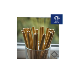Pailles en bambou écologiques, sûres et propres, fabriquées à partir de plantes pures, idéales pour les smoothies et les cocktails - En promotion - Product Image 1