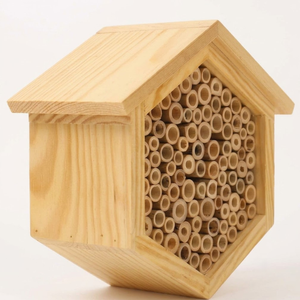Tubos de repuesto de caña natural para hoteles de abejas, material de anidación para abejas Mason, para casas de abejas y hábitats de polinizadores de Vietnam - Product Image 3