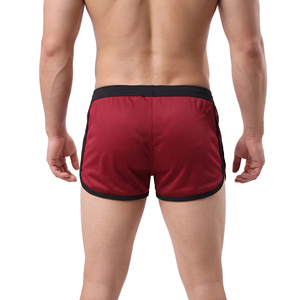 Men’s Mesh Gym Shorts Quick Dry Men <b>Basketball</b> Mesh Shorts Men Sports Training Mesh Shorts Men's Mesh Gym Shorts - Product Image 4