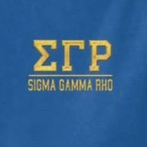 เสื้อเจอร์ซีย์ถักแขนสั้นคอปกปักลายตัวอักษรกรีกพร้อมโลโก้แบบกำหนดเองสำหรับผู้หญิง สไตล์ลำลองระดับพรีเมียมสำหรับวิทยาลัย - Product Image 5