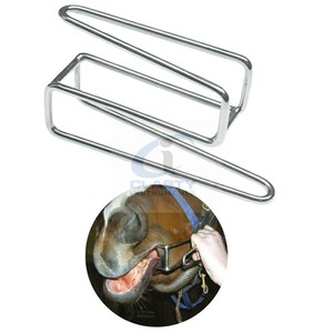เครื่องมือตรวจฟันม้าแบบหนีบปาก ทำจากสแตนเลส แข็งแรงทนทาน ใช้ซ้ำได้ - Product Image 4