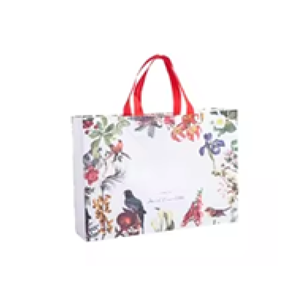 Bolsas de Compras Reutilizables de Tamaño Mediano con Diseño de Dibujos Animados, Bolsa de Mano Ligera y Duradera para Compras, Regalos y Empaque - Product Image 4