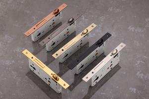 Loquet à rouleaux robuste en acier inoxydable, 45mm, 50mm, 60mm, 70mm, pour portes en bois et en métal – Vente chaude - Product Image 5