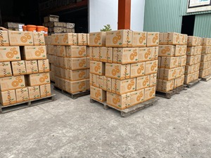 Líquido de frenos NPOIL DOT 4 Botella de 0.5L 830ml Vietnam Lubricante Aceite base y aditivos premium Alta Calidad - Product Image 5