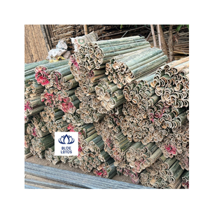 PALOS DE BAMBÚ FRESCOS EN VENTA, CORTES LIMpios, Marca Blue Lotus, 50 cm de Longitud, 5-6 mm de Diámetro, Ecológicos, No Tóxicos, Ho Chi Minh - Product Image 1