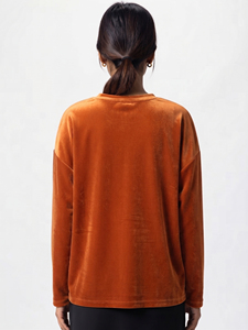 T-shirt en velours à manches longues pour femme, doux, confortable, col rond, uni, couleur unie, qualité supérieure, mode d'hiver - Product Image 2