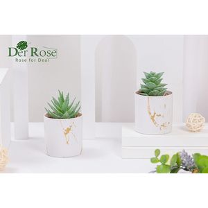 Set di 2 accessori da scrivania per donna, piante succulente artificiali, finta vegetazione per casa e ufficio - Product Image 2