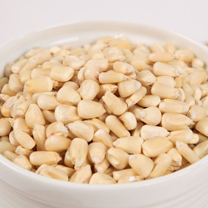 ข้าวโพดขาวพรีเมียมเกรดอาหาร ขายส่งจำนวนมาก คุณภาพสูง พร้อมส่งออก - Product Image 1