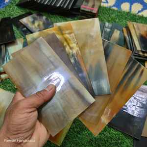 Placa Decorativa de Cuerno de Búfalo, Ecológica, Hecha a Mano, Cuerno Natural de 6-8mm, Forma Rectangular para Proyectos de Artesanía y Muebles - Product Image 1