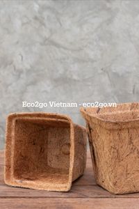 Professional Coir <b>Nursery</b> Pots – Biodegradable Coconut Fiber Planters for Superior Root Development (Factory Direct) - Product Image 3