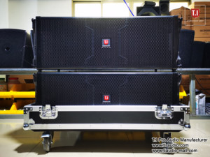 Loa Mảng Dây Loa Mảng 2 Chiều 10 Inch Loa Mảng Hệ Thống Âm Thanh Mảng Dây - Product Image 5