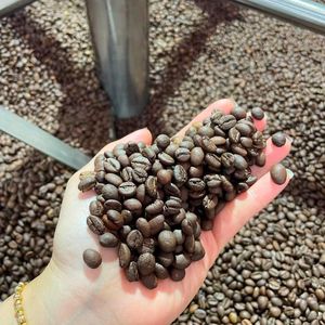 Café Robusta de qualité supérieure, écologique et durable, torréfaction moyenne, en gros, pour une distribution haut de gamme - Product Image 3