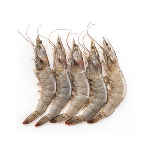 กุ้งแช่แข็ง - Product Image 3