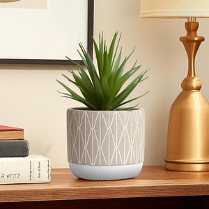 Succulenta Artificiale Realistica da 20 cm in Vaso Stile Rustico per Decorazione Casa, Ufficio e Mensole - Pianta Verde per Casa e Ufficio - Product Image 3