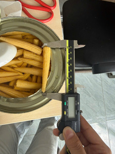 Maïs en conserve de qualité supérieure du Vietnam, coupé en grains entiers, saveur salée, prêt à servir, qualité export en gros - Mme Tarina - Product Image 2