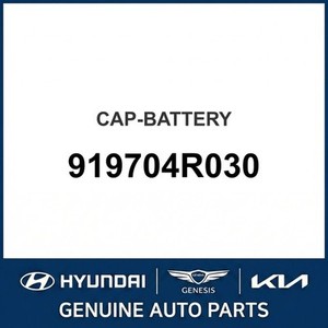 Batteries neuves Sonata 919704R030 - Product Image 1