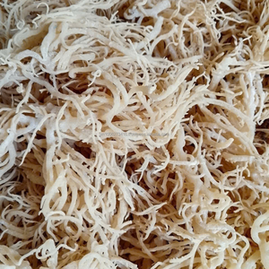 Alga Marina Kappaphycus Alvarezii Seca Premium (WHITE COTTONII/SPINOSUM) - Exportación de Alta Calidad de Vietnam por KIM MINH INTL - Product Image 3