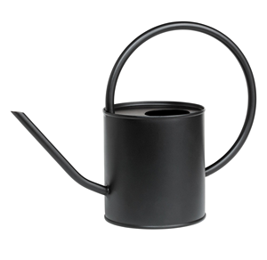 Regadera de metal de hierro con recubrimiento en polvo sin acabado, de alta calidad, diseño moderno, para uso diario en el hogar y jardín, ¡la más vendida! - Product Image 2