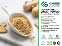 Poudre de gingembre déshydratée de qualité alimentaire pour soupes, sauces, currys, assaisonnements, aliments instantanés et applications en matière de boissons