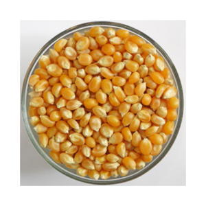 Maíz blanco saludable y nutritivo, sin OMG - Product Image 6