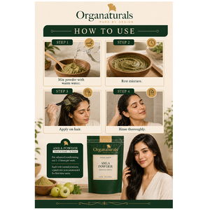 Polvo de Amla a Granel, Polvo de Fruta Premium para Procesamiento de Alimentos y Formulaciones Herbales - Product Image 3