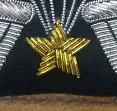 Embroidered Badge-Bullion Embroidery Patch Handmade Embroidered-Badge Applique-Bullion Blazer-Badge For Sale - Product Image 2