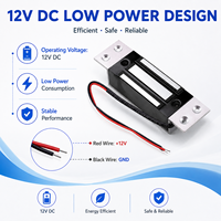 12v Dc intégré petite serrure électromagnétique électrique Mini 60Kg petites serrures magnétiques pour porte en bois en verre