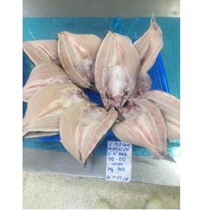 Filete de Pangasius de Vietnam IQF, con/sin piel, alto en proteínas, grado de exportación, bajo en carbohidratos, estilo mariposa, tamaños 20-35, estilo VH Food - Product Image 5