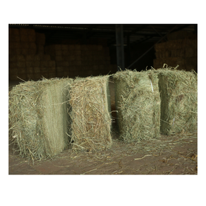 หญ้าเม็ดละเอียดสีเขียวหญ้าแห้งอาหารเกรด A + สำหรับหมูม้าและวัวควาย - Product Image 3