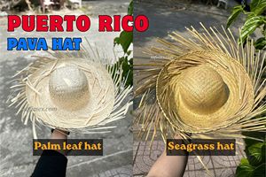 Chapeau de paille en gros Pava Puerto Rican Bad Bunny, couleur naturelle, pour l'été, costume hawaïen, chapeau de plage, prix abordable - Product Image 2