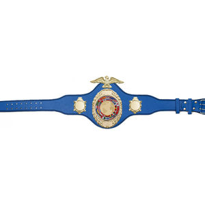 Cinturón de Lucha Libre Profesional al por Mayor con Placas Laterales Personalizables y Diseño Intercambiable - Venta Directa de Fábrica - Product Image 2