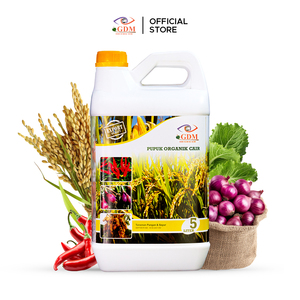 Engrais Bio Organique Avancé pour Riz, Piment, Aubergine et Chou-mangeoire avec un Fort Développement Racinaire et une Production Agricole Améliorée - Product Image 2