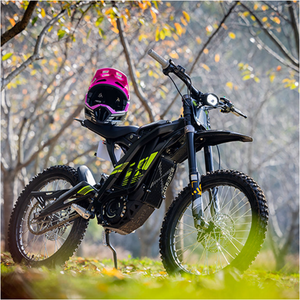 Pour moto électrique tout-terrain Light Bee X 8000W sans balais, batterie lithium 60V 40Ah, vitesse maximale 75 km/h, couple 250 N.m - Product Image 5
