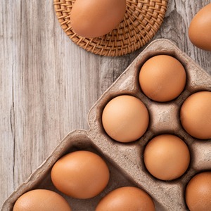 Huevos de Gallina Frescos Premium Blancos y Marrones, Clasificados Cuidadosamente para Compradores al por Mayor, Cáscaras Limpias, Cajas Seguras y Suministro para Exportación - Product Image 6