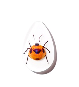 Cabujón de Plástico con Espécimen Real de Insecto Floral, Corte Pera, Parte Superior de 46x30 mm, Base Plana Blanca para Manualidades y Joyería - Product Image 3