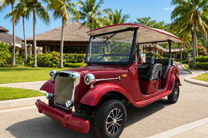 Vehículo Turístico Eléctrico <span class=keywords><strong>de</strong></span> Estilo Antiguo, 6-9 Plazas, Techo Abierto, Autobús <span class=keywords><strong>de</strong></span> Transporte, LHD/RHD Opcional, CE para el Mercado Europeo, Blanco Dorado - Product Image 6