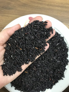 Arroz Negro Saludable de Vietnam, Grano Largo, Alta Calidad, Arroz Negro Glutinoso Orgánico, Empaque Vietnam Trading LINDA +84393250278 - Product Image 2