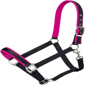 Versatile Double Ply Nylon Webbing Extra comfort Nylon Halter for horses Cheapest Nylon Halter <b>Equestrian</b> racing saddle products - Product Image 3