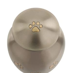 Pewter with Gold Paw Prints Medium Pet Cremation <b>Urn</b> for Ashes Brass Silver <b>Urn</b> Dog <b>Urn</b> <b>Cat</b> <b>Urn</b> Medium Sized Pet <b>Urn</b> - Product Image 3
