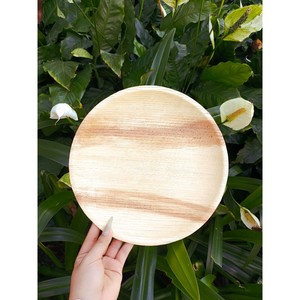 Platos Desechables Cuadrados de Hoja de Palma Compostables y Sostenibles, Vajilla Natural de Cáscara de Areca para Restaurante o Uso Doméstico - Product Image 1