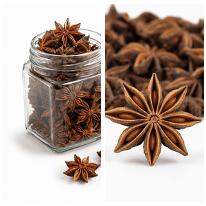 Big Sale Delicious International Standard Top Selling Vietnam Manufacturer Supply Star Anise Bulk Supply - Product Image 5