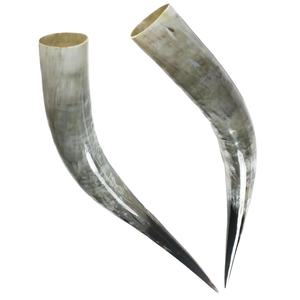 Cuerno Vikingo para Beber en Blanco y Negro con Soporte de Cuero, 100% Cuerno Natural Pulido, Personalización Disponible - Product Image 1