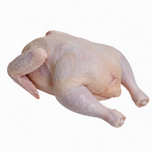 Wholesale Frozen Whole <b>Chicken</b> Bulk Supply Premium Grade Ready to Ship Fast - Product Image 6